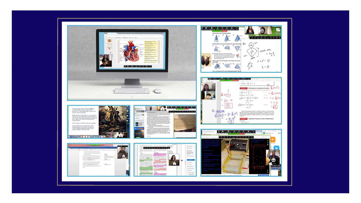 USA的Online項目(图11)